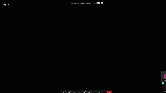 BalkySwell's cam snapshot