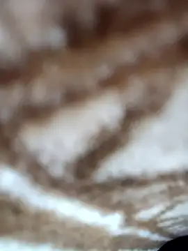 jiniya6789 live sex cam