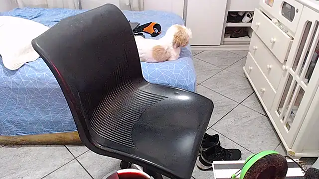 MysterBearMG live sex cam