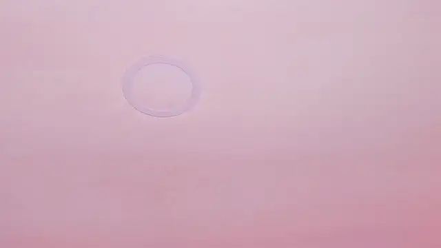 SusanAdams1's cam snapshot