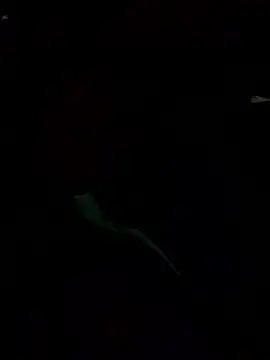 jupiter_333 live sex cam