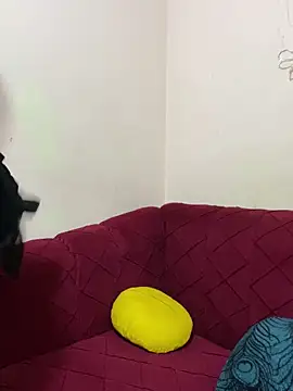 mari_layali live sex cam