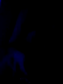 sarahkat86 live sex cam