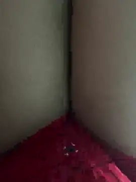 angelsilvasantos's cam snapshot