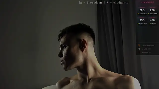 fromed's cam snapshot