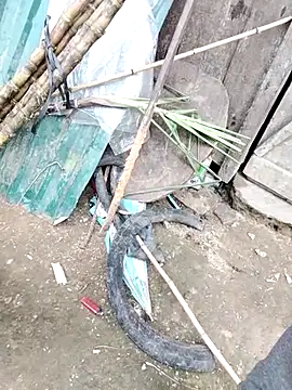 Libami246's cam snapshot