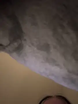 megan61's cam snapshot