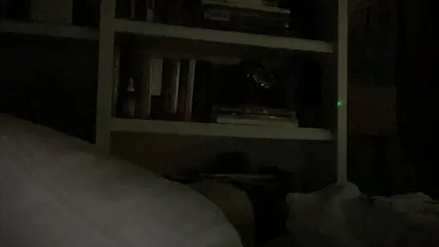 dddasani's cam snapshot