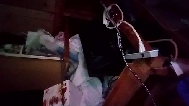 BulbasaurIsmettv's cam snapshot