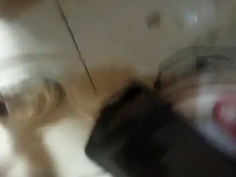 PussyDestroy7 live sex cam