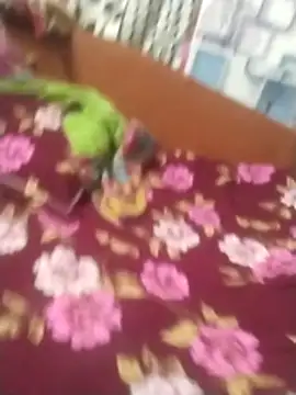 deshi_bhabi_Anita live sex cam