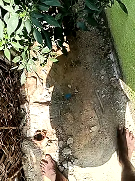 dolphiinn live sex cam