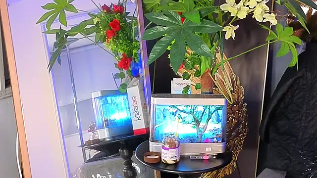 elizabethsecrett's cam snapshot