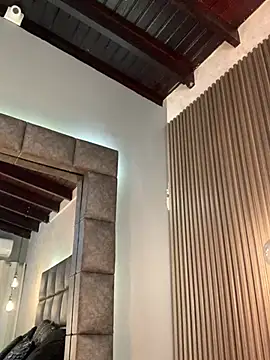 BrigitteVons's cam snapshot