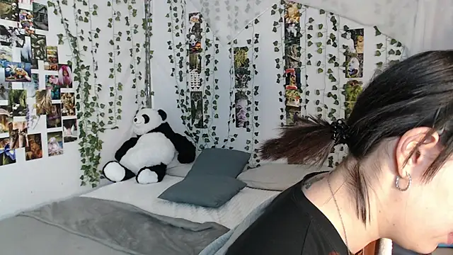 DeerMiracle's cam snapshot