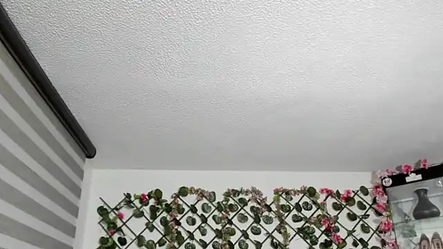 antonella4youu's cam snapshot