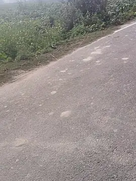 Yash_singh_18 live sex cam