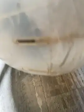 MooonReal's cam snapshot