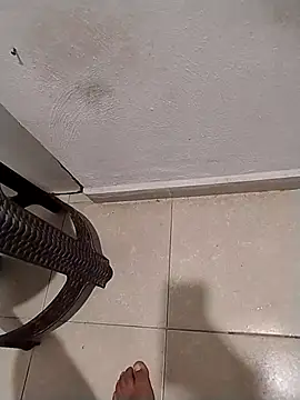 ricolinoSabrso92's cam snapshot