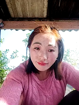 seacyre's cam snapshot