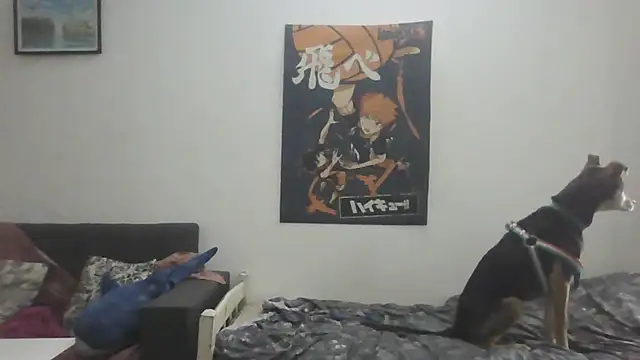 Darkytah's cam snapshot