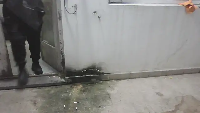 Darkytah's cam snapshot