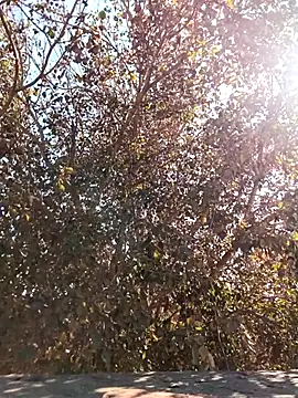 Pinky12A's cam snapshot