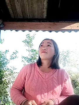 seacyre's cam snapshot