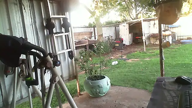 herbie010666's cam snapshot