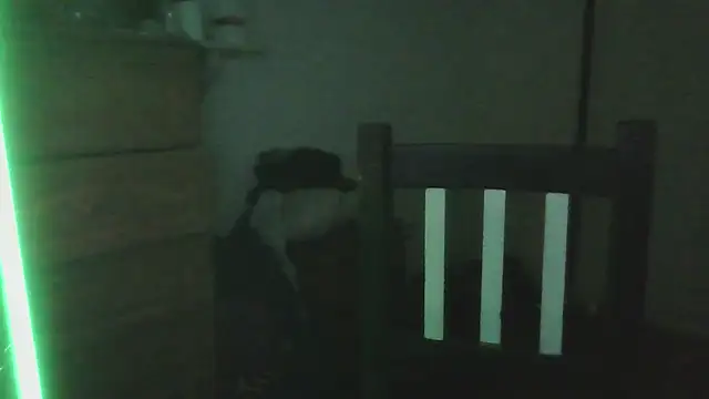 Darkytah's cam snapshot