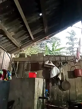 kotaka-shoow's cam snapshot