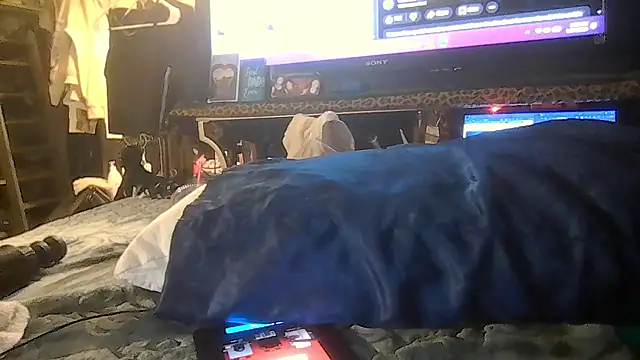 ShysluutGia live sex cam