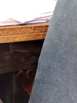 hardi9048 live sex cam