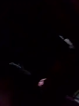 Ruby-224's cam snapshot