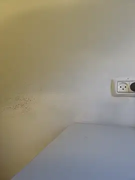 kaitoasa live sex cam