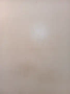 shanicollete's cam snapshot