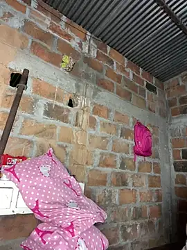 lady_and_charly live sex cam