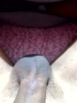 braulio1902jd's cam snapshot