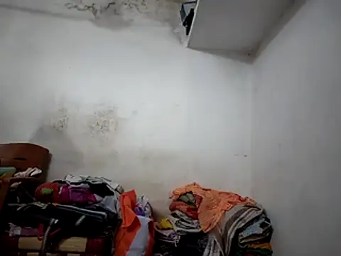 FoggyWatch3's cam snapshot