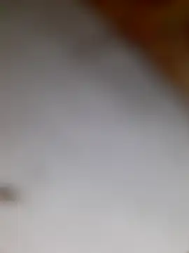 Mallusweetmallu's cam snapshot