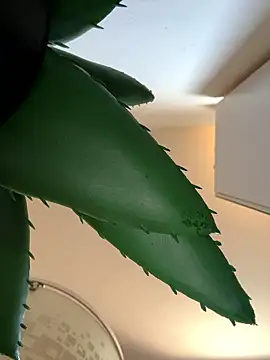 Michel_huge live sex cam