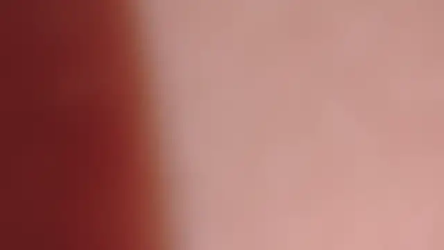 LT-333's cam snapshot