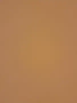 toobarry live sex cam