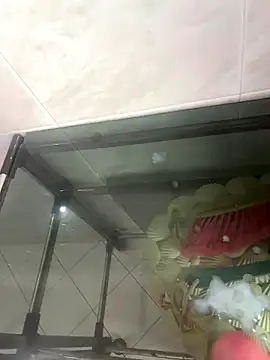 m9awadan live sex cam