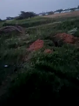 dolphiinn's cam snapshot