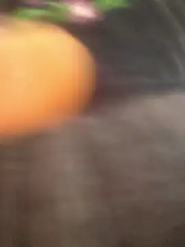 Saishaa's cam snapshot