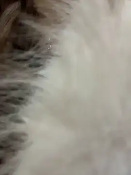 KristiRich live sex cam