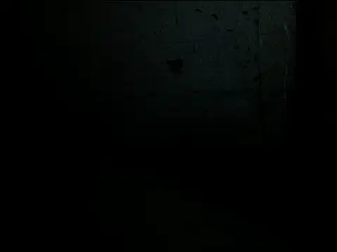 manilafoxts live sex cam