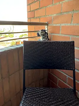 star_anastasia live sex cam