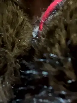 babydolll live sex cam